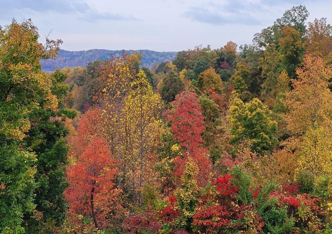 Great Little Guest Suite With Private Entry & Deck! Pet Friendly & 30 Mins To Nashville! Ashland City Zewnętrze zdjęcie