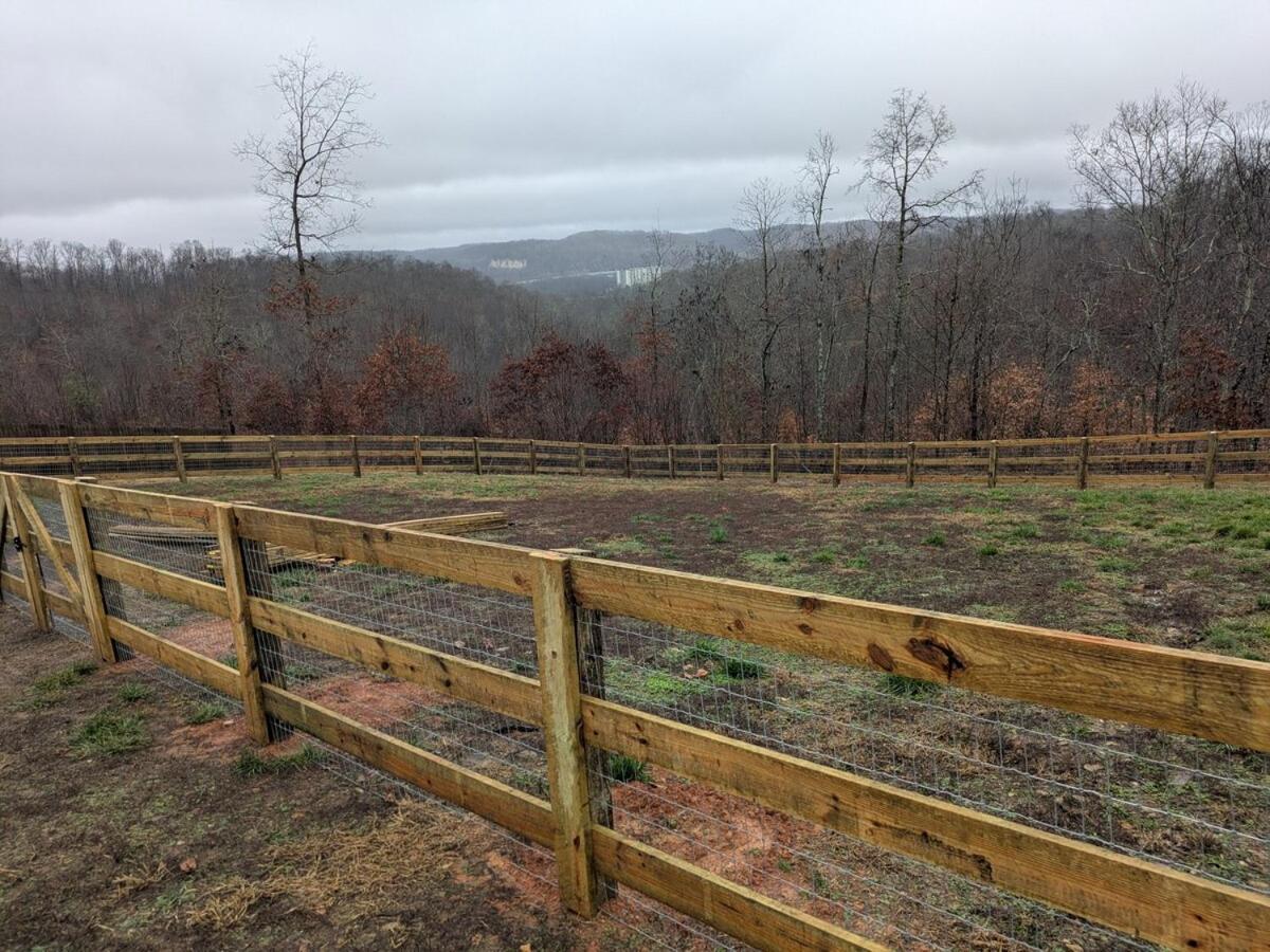 Great Little Guest Suite With Private Entry & Deck! Pet Friendly & 30 Mins To Nashville! Ashland City Zewnętrze zdjęcie